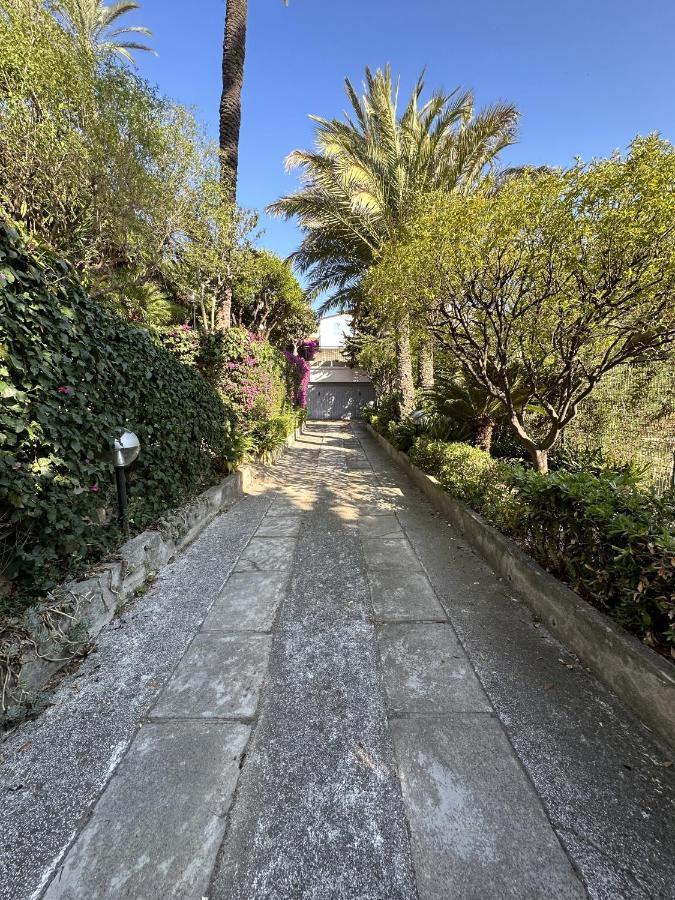 Villa Le Rose Di Emma à Bordighera Extérieur photo